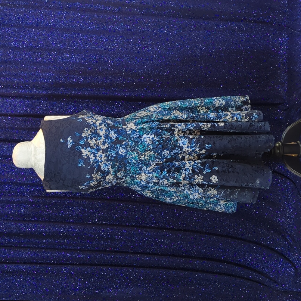 Stunning Blue Lace Fit and Flare Dress 14P